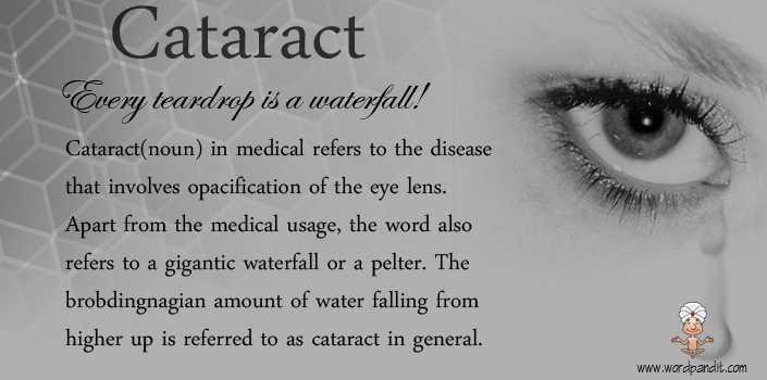 Picture for cataract