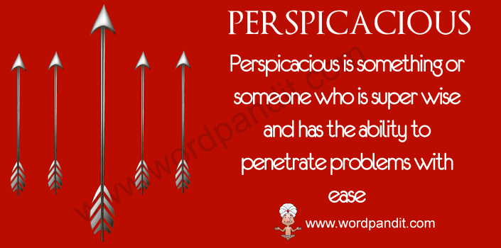 Picture for Perspicacious