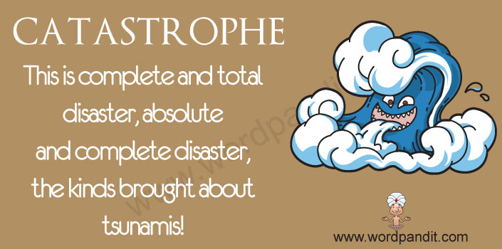 Picture for catastrophe