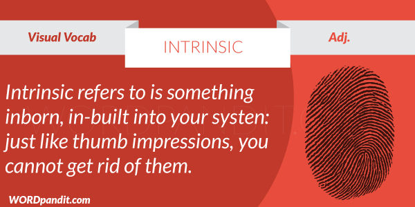 meaning-of-intrinsic