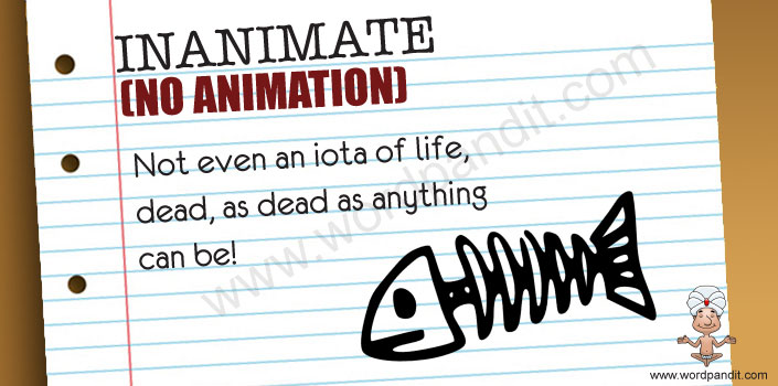 Meaning of Inanimate