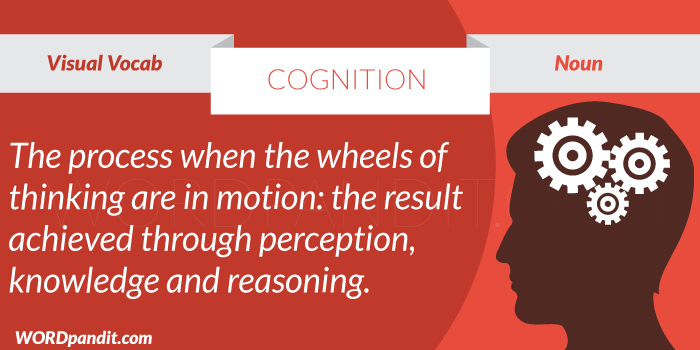 Meaning of Cognition