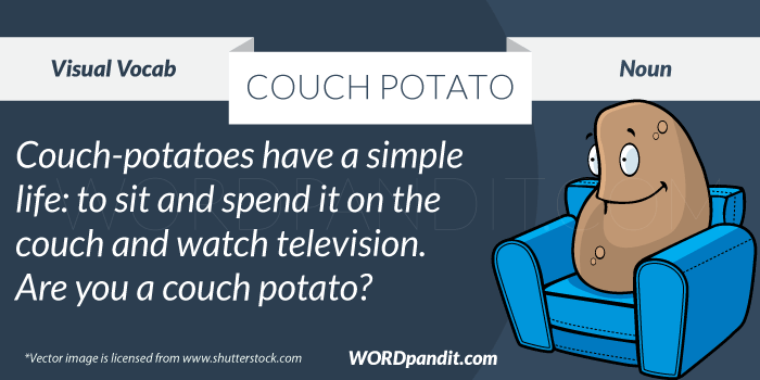 picture for couch-potato