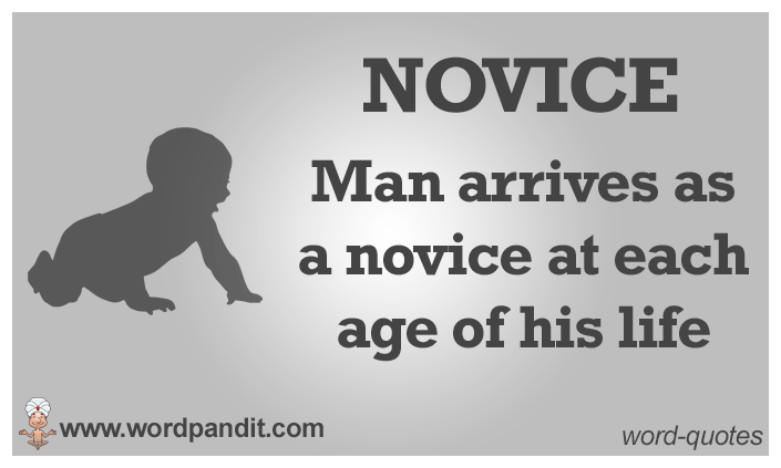 meaning-of-novice