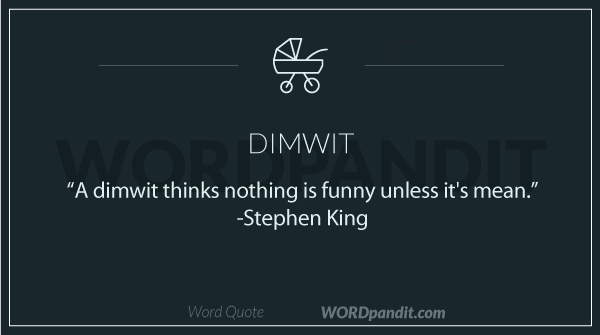 Meaning Of Dimwit