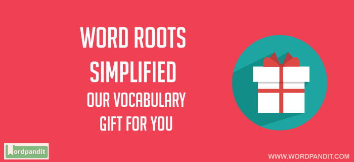 Macro Word Root