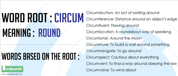 words with scribe root