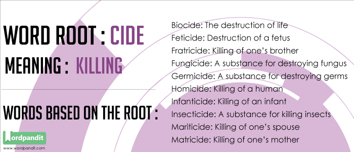 Words based on the root Cide