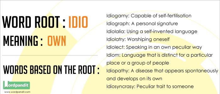 Words based on the root Idio