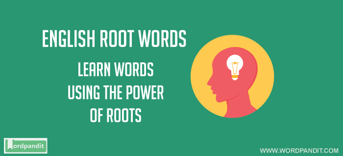 english root words