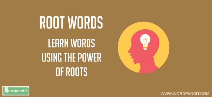 Meaning, Definition of Bi Root Word and Words based on Bi