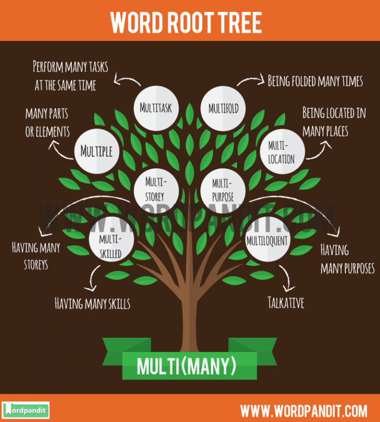 list-of-words-containing-multi-root-word-learn-words-related-to-the