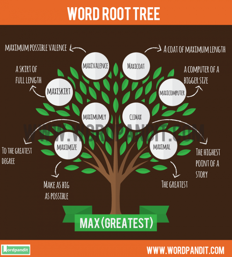 list-of-words-containing-max-root-word-learn-words-related-to-the-root-max