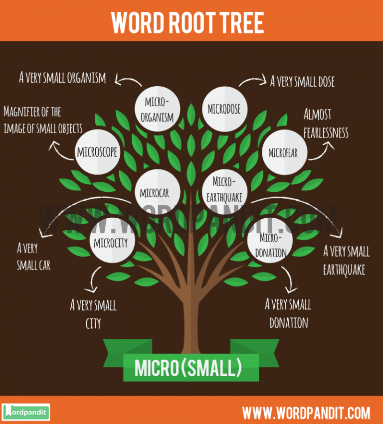 list-of-words-containing-micro-root-word-learn-words-related-to-the