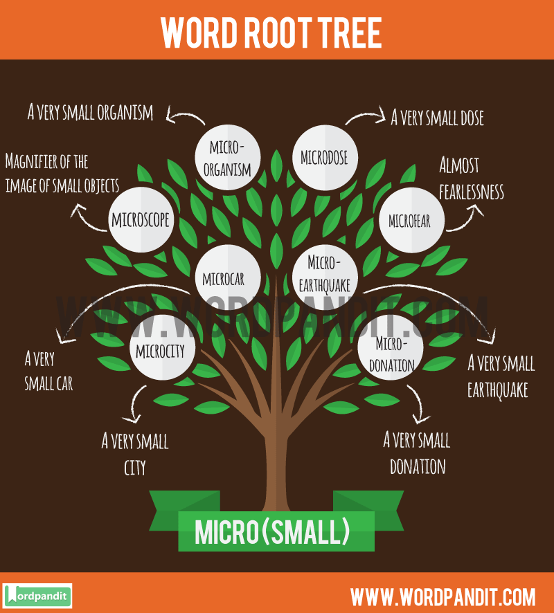 microcosm examples