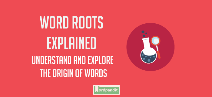 stem word vs word root