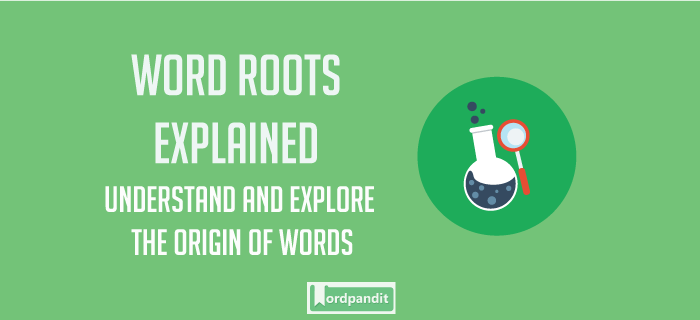 Words That Have The Root Word Bio