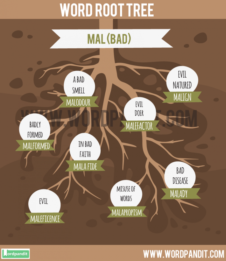 List of Words Containing Mal Root Word: Learn Words related to the root Mal