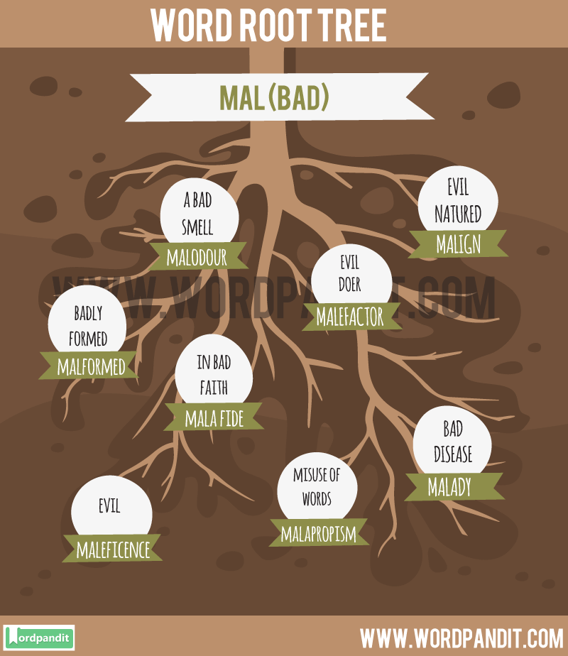 List Of Words Containing Mal Root Word Learn Words Related To The Root Mal