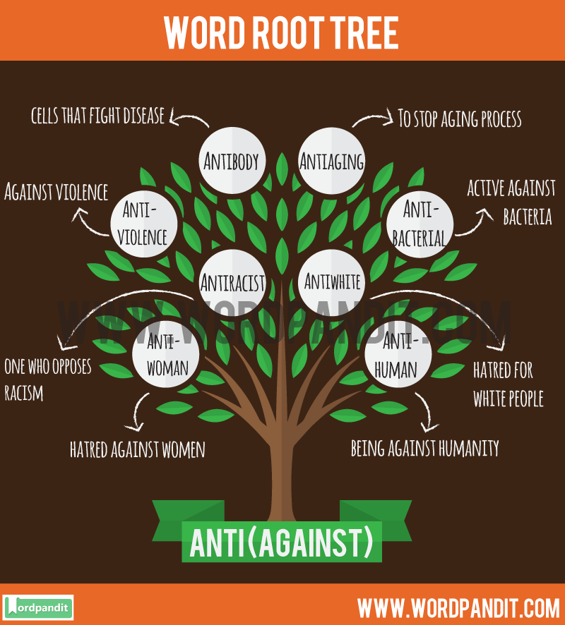 What Words Have The Root Anti?  Mastery Wiki