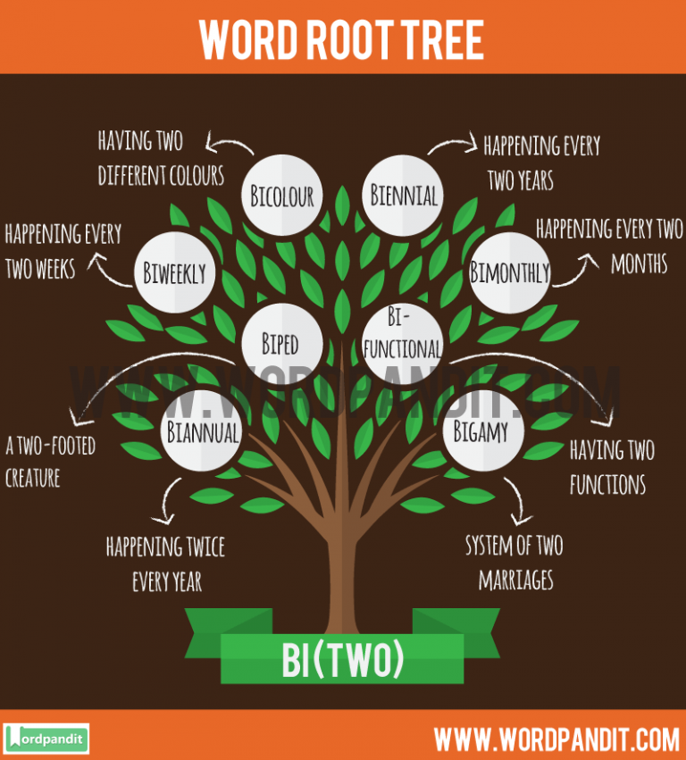 5 letter word that start with bi