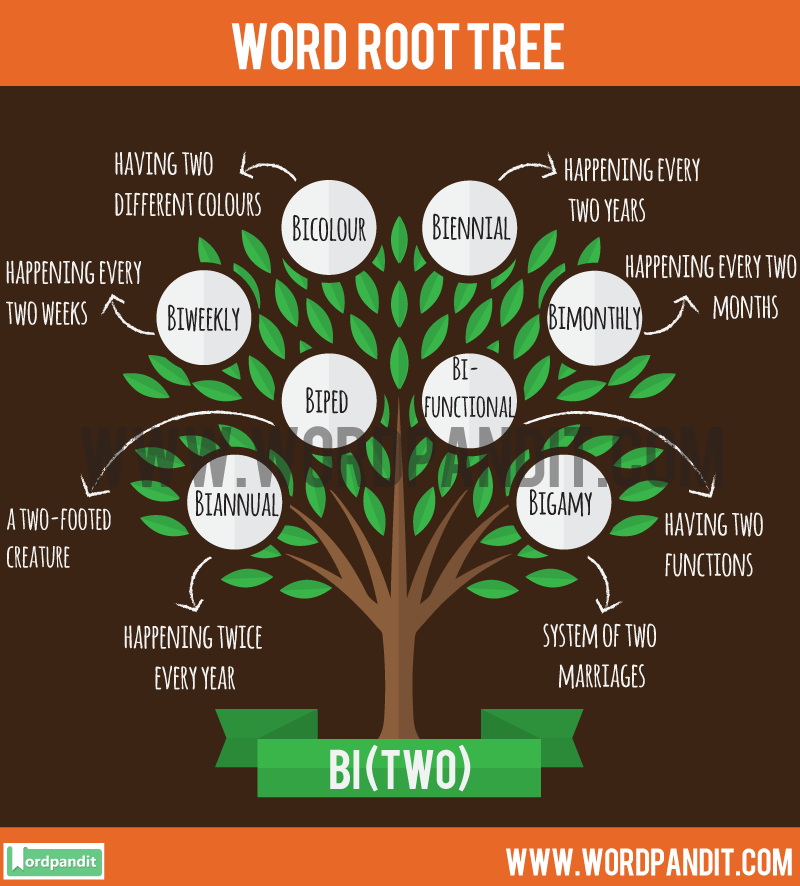 Bi Root Word: Learn words related to word root Bi