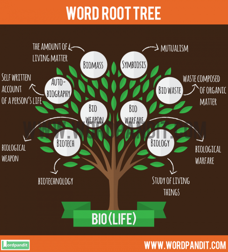 bio a root word