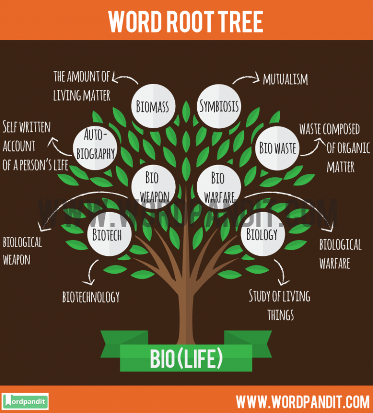 Words That Begin With Root Word Bio