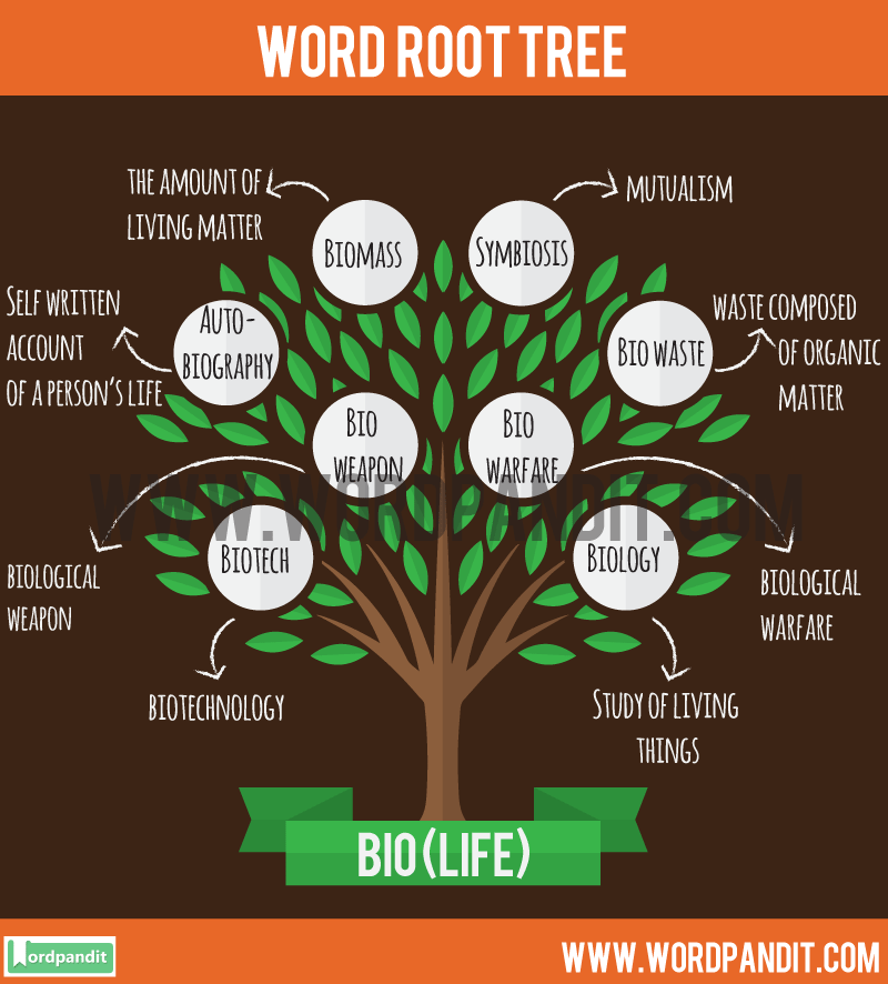 in biology biography meaning on Know and based word this Bio words about Bio Root Root