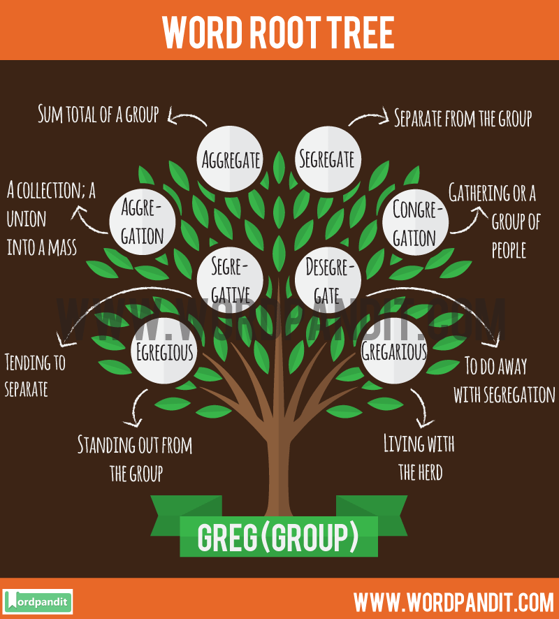 all-about-greg-root-word-list-of-words-based-on-greg-root