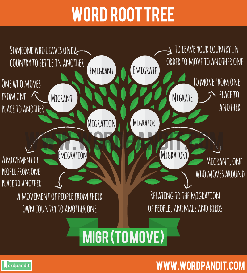 50-greek-and-latin-root-words