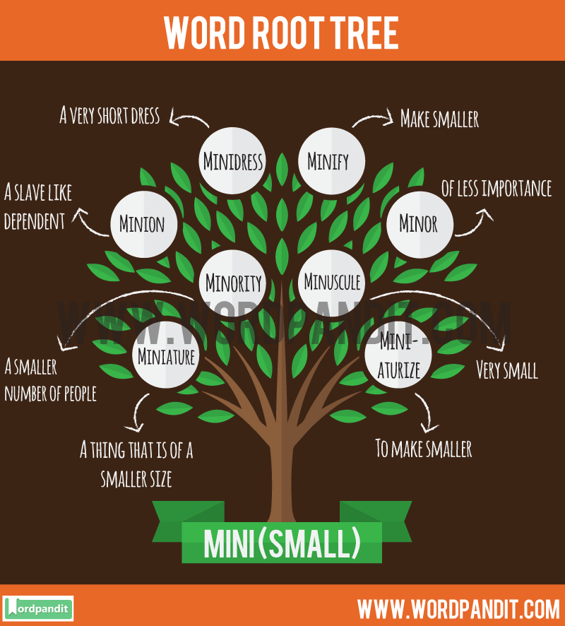 list-of-words-with-their-meanings-related-to-mini-root-word