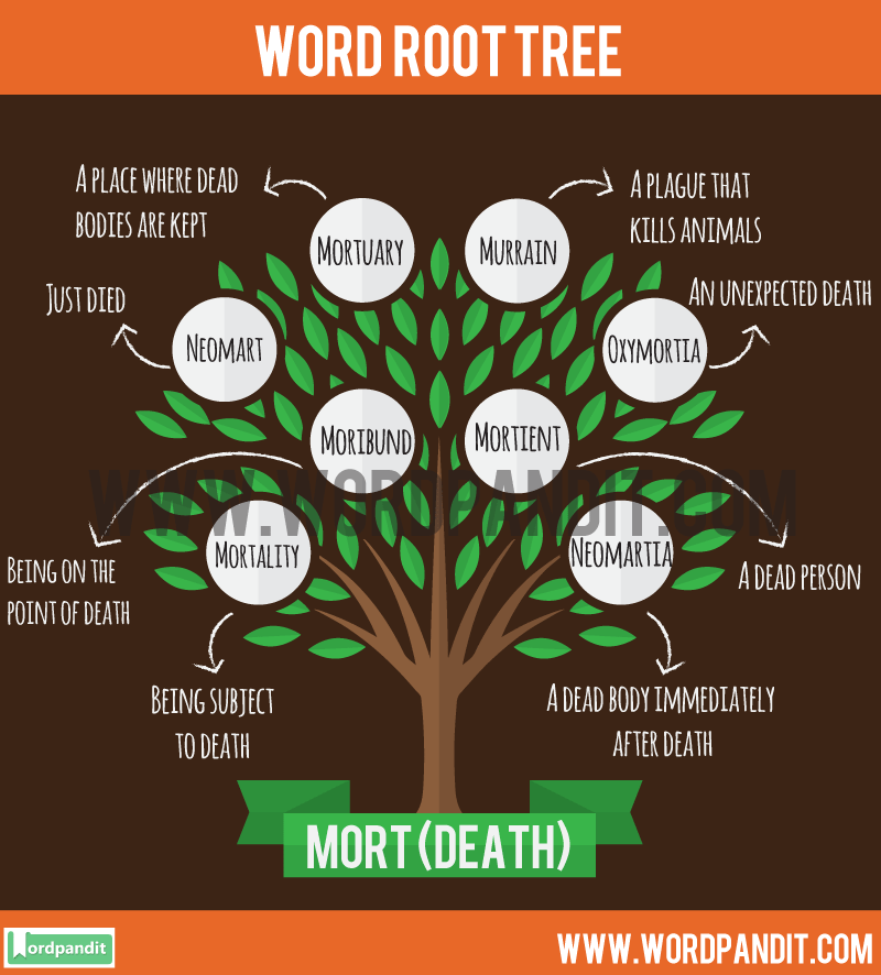 Know all about Mort Root Word and words related to it.