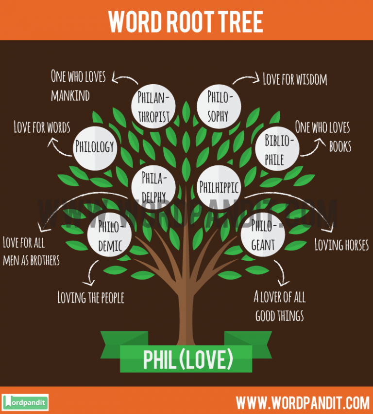 Root Word Phil Meaning