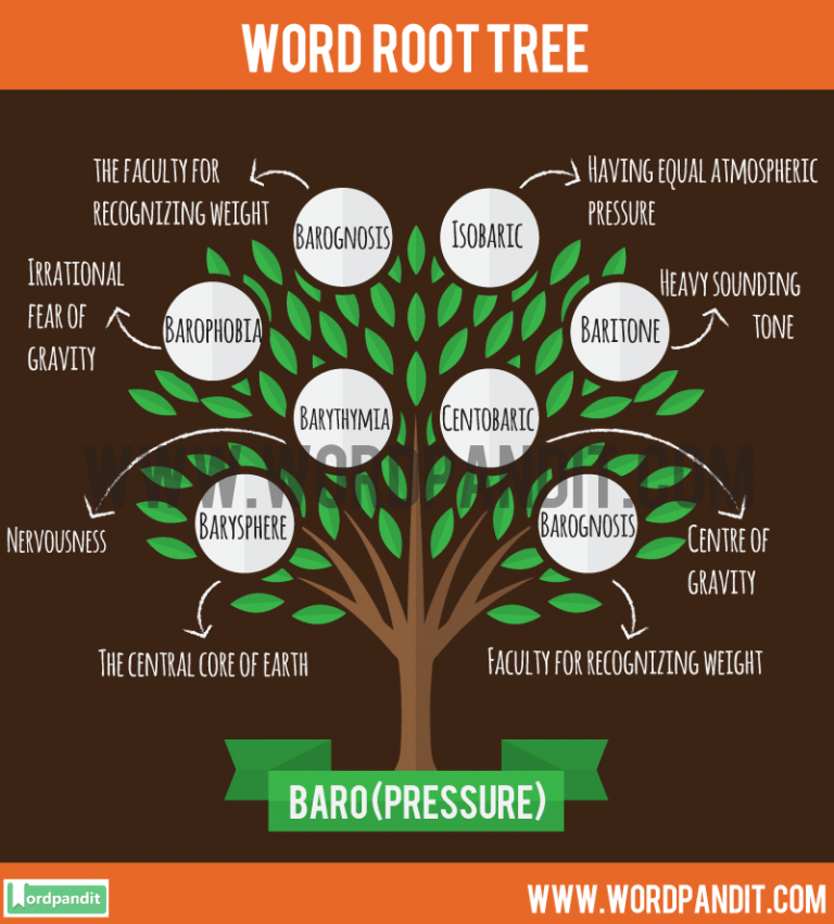 all-about-baro-root-word-with-words-based-on-it