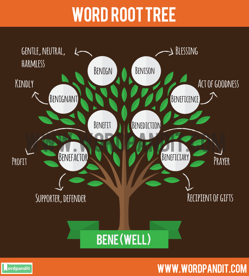 definition-of-root-word-bene-gentry-saughts1992