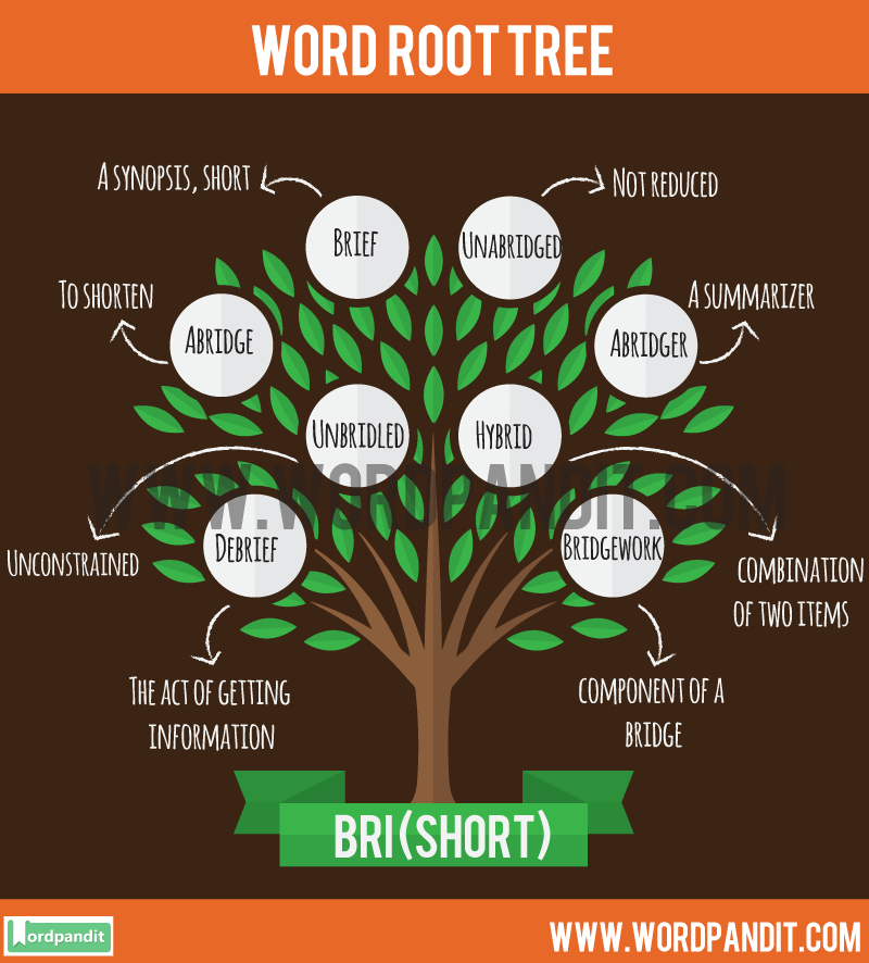 examples-of-root-words-45-common-roots-with-meanings-yourdictionary