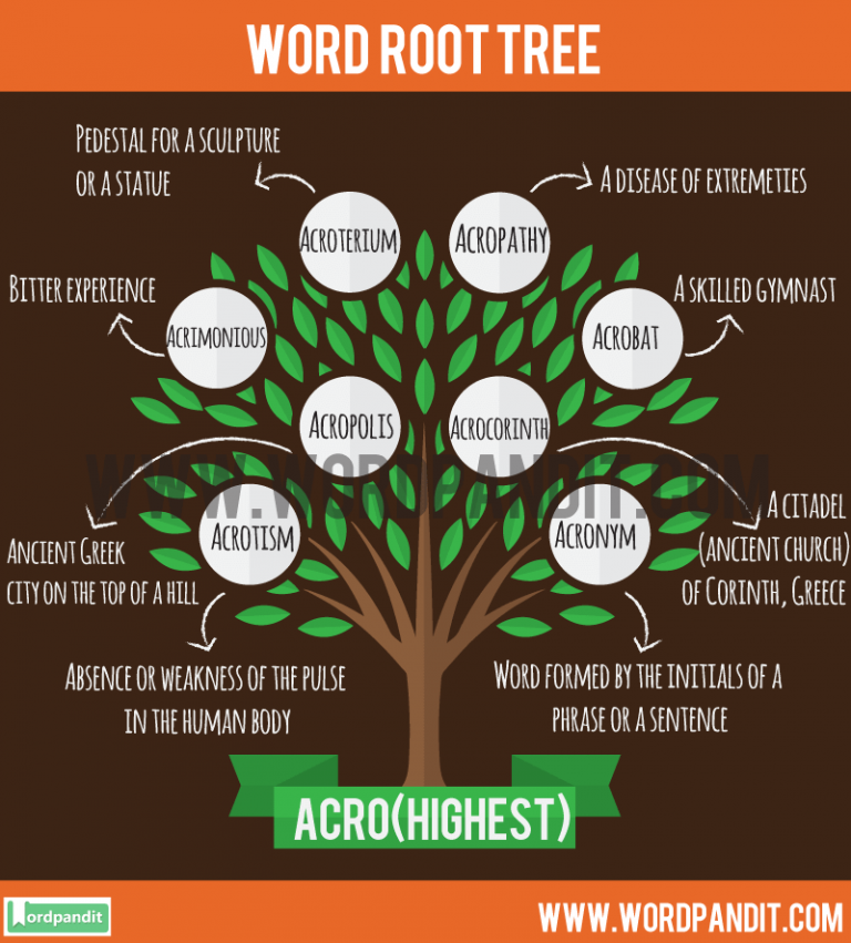 know-about-acro-root-word-and-words-based-on-this-root-acro