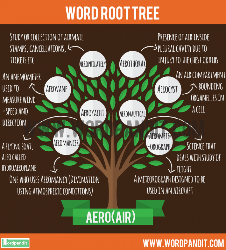 know-about-aero-root-word-and-words-based-on-this-root-aero