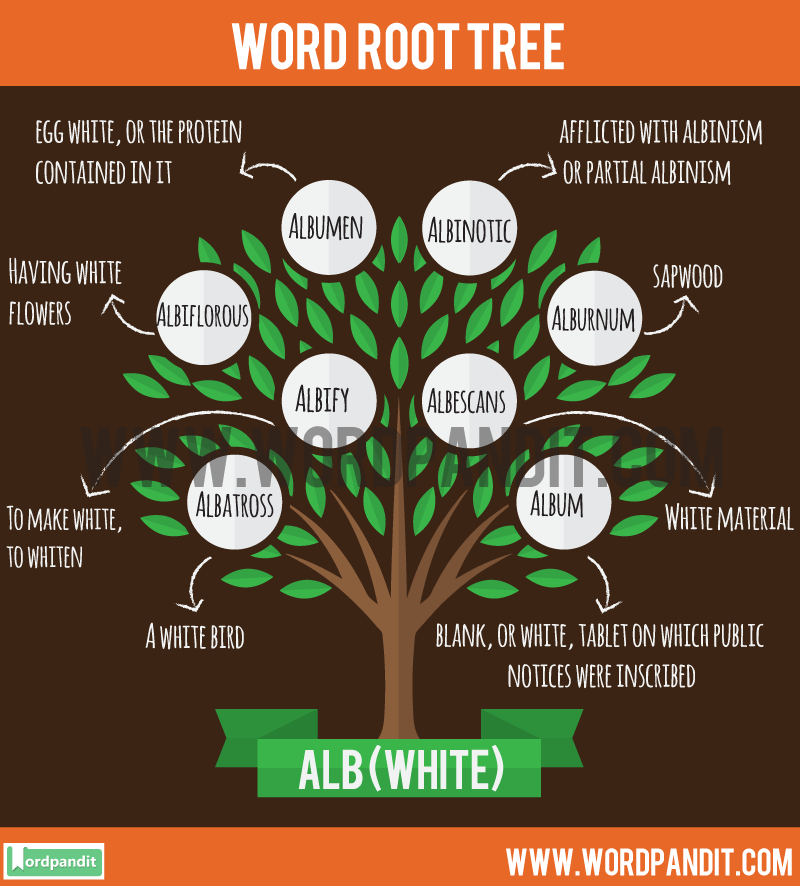 list-of-words-based-on-alb-root-word-with-their-meaning