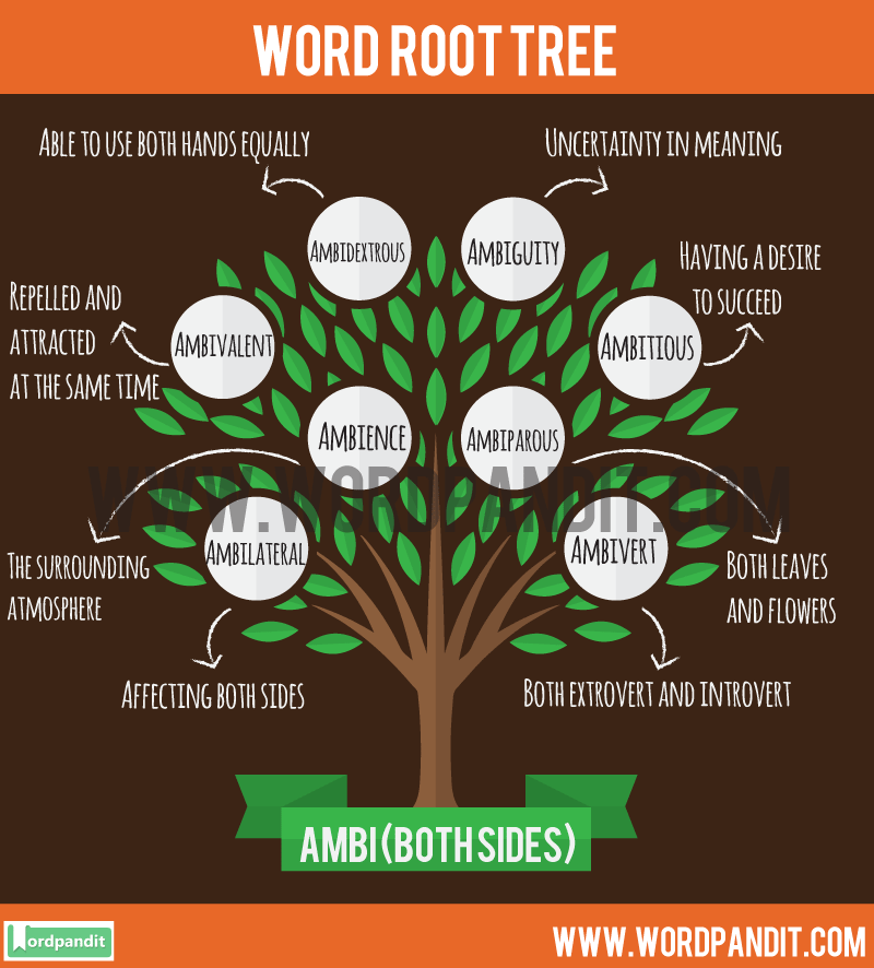 Ambi Both Sides Word Root List 