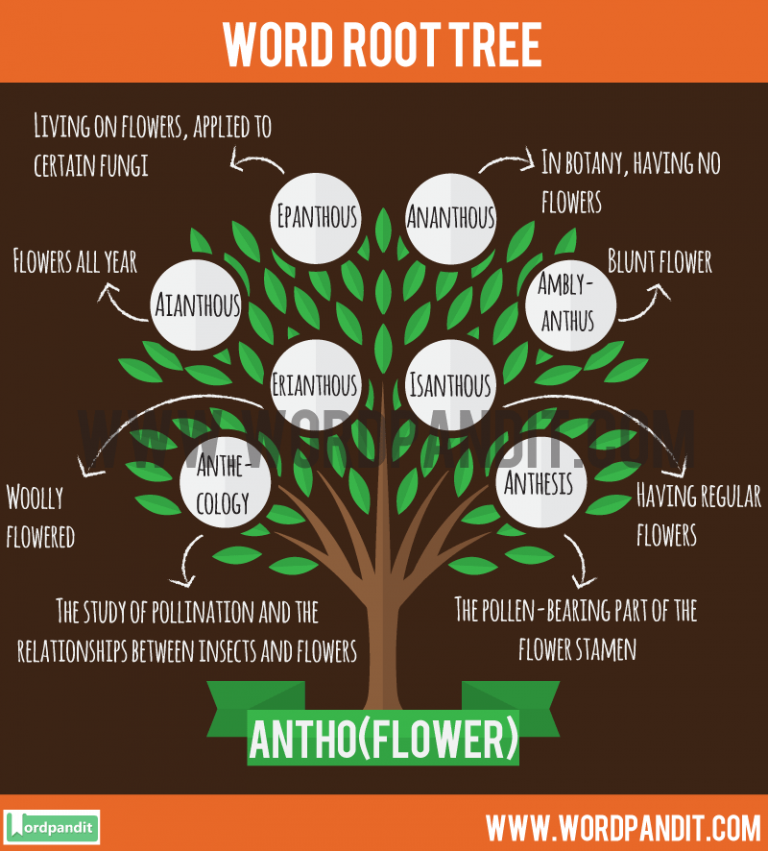 know-about-antho-root-word-and-words-based-on-this-root-antho