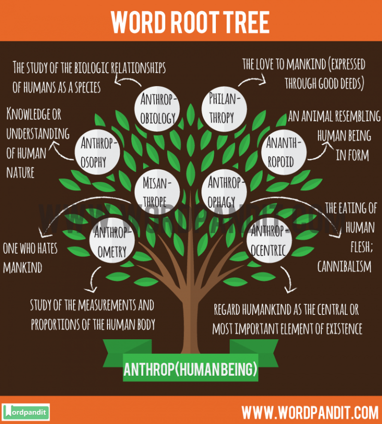 Know about Anthrop Root word and words based on this Root word Anthrop