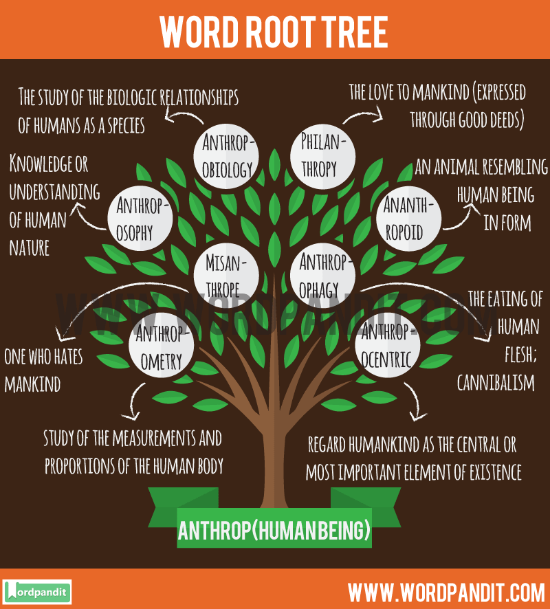 know-about-anthrop-root-word-and-words-based-on-this-root-word-anthrop