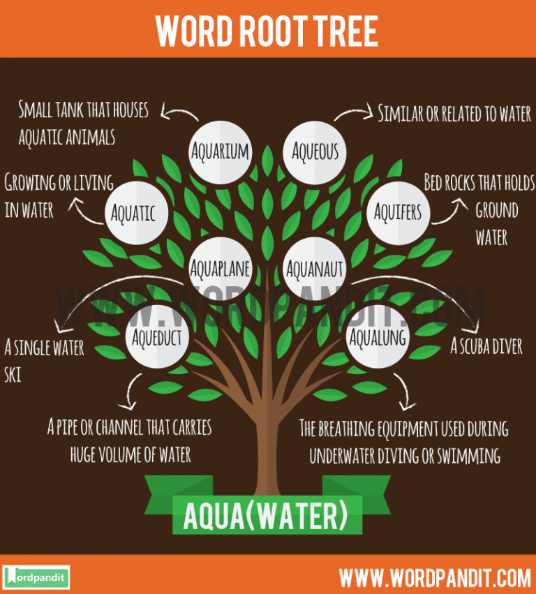 know-about-aqua-root-word-and-words-based-on-this-root-aqua