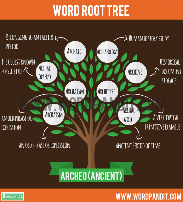 list-of-words-based-on-archeo-root-word-with-their-meaning