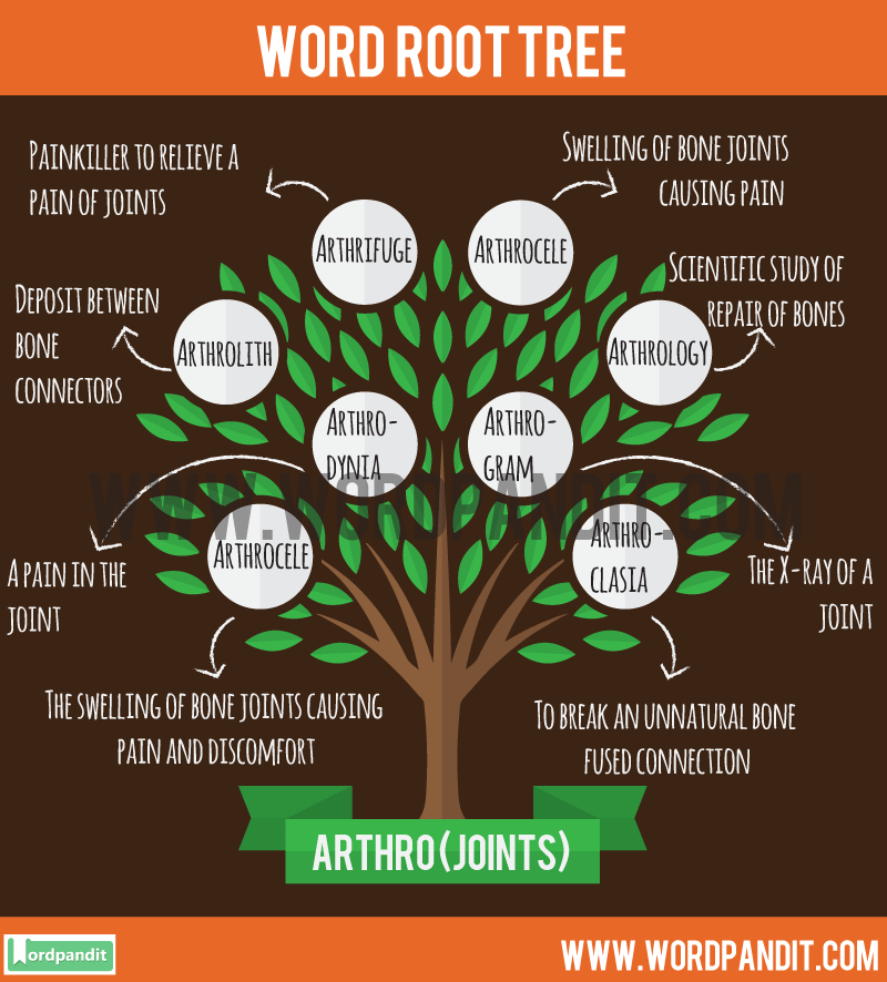 Which One Means Good Root Word Templates Printable Free