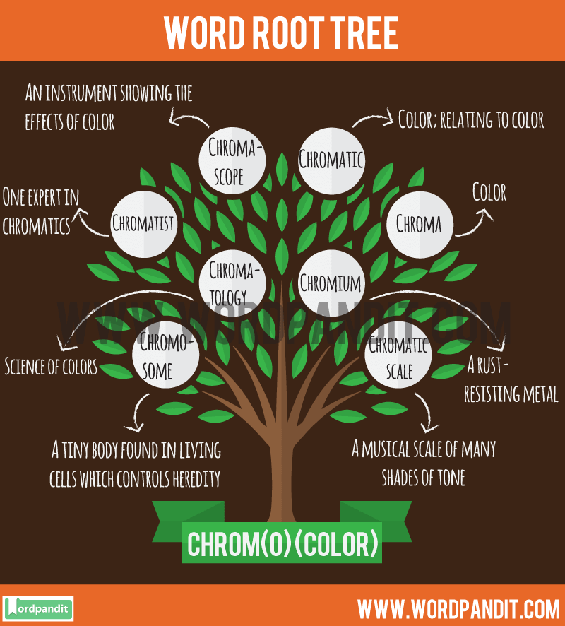 know-about-chrom-o-root-word-and-words-based-on-this-root-chrom-o