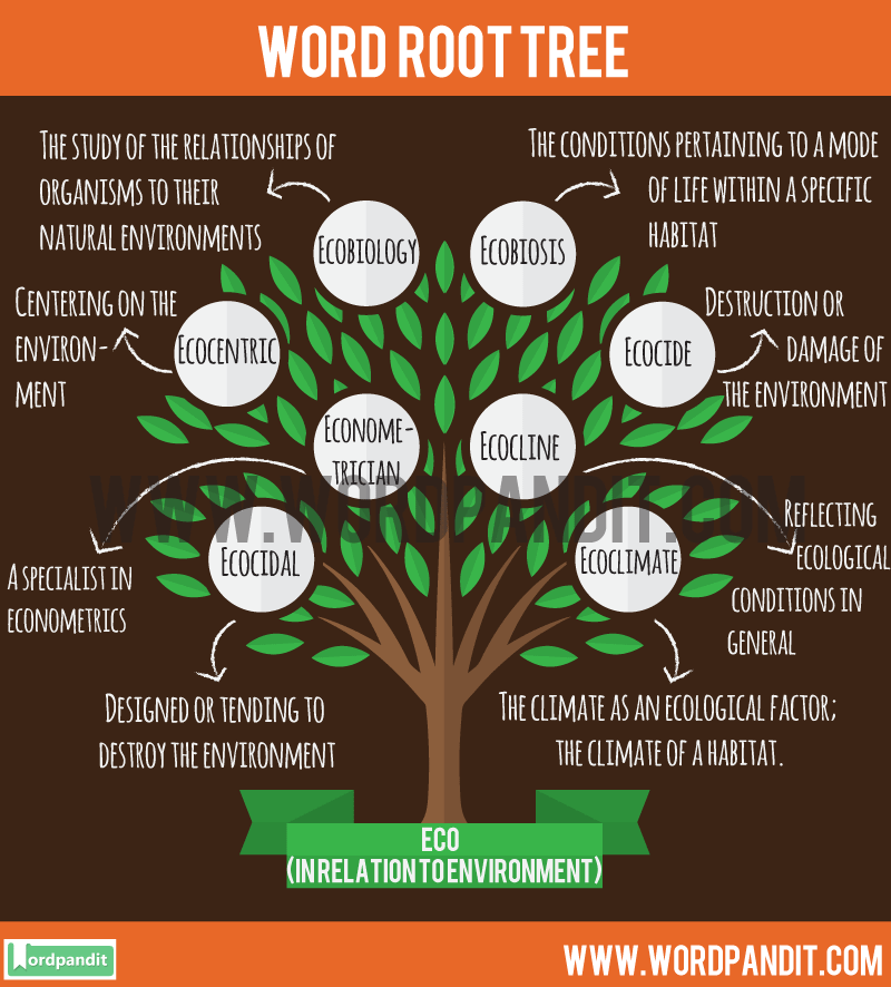 Eco Root Meaning