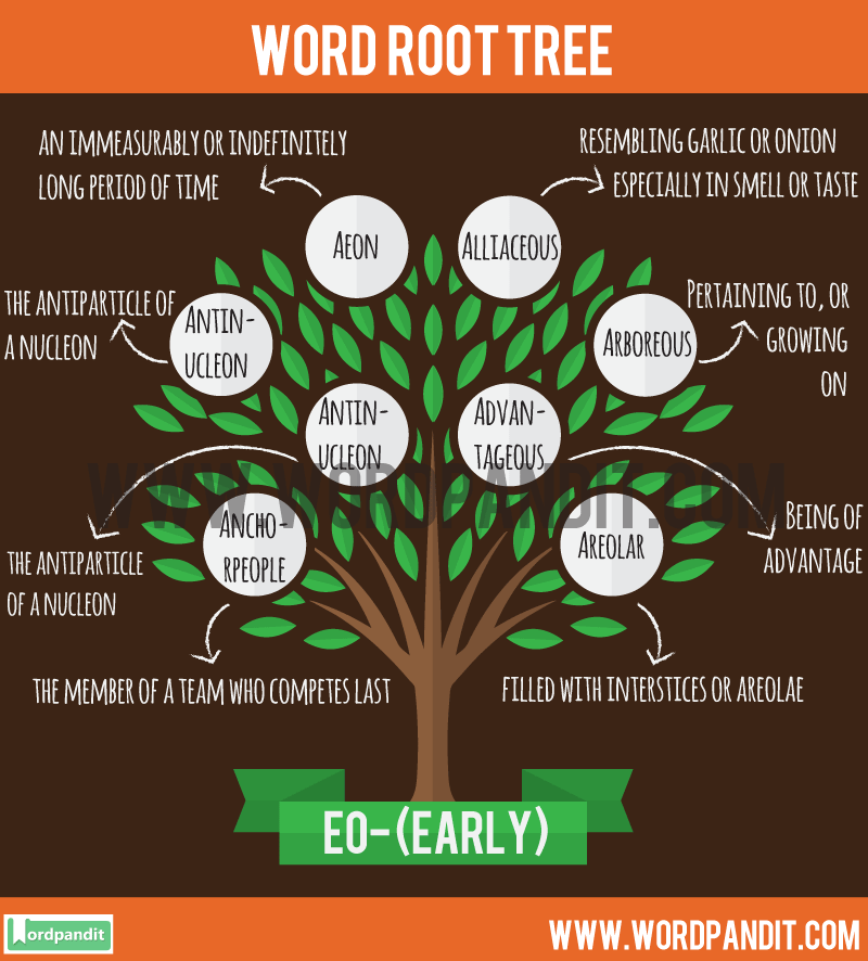 Know about eo root word and words based on this Root eo